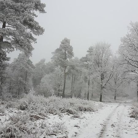 B&B"De Hassehof" Sellingen ภายนอก รูปภาพ
