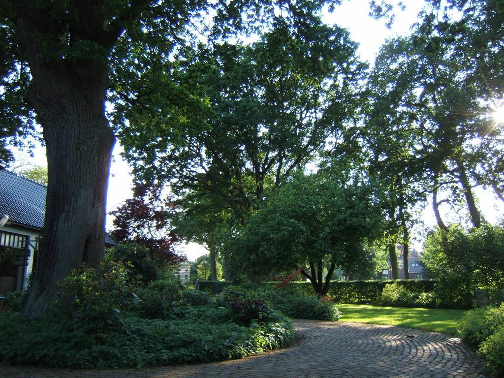 B&B"De Hassehof" Sellingen ภายนอก รูปภาพ