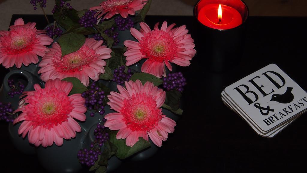 B&B"De Hassehof" Sellingen ห้อง รูปภาพ