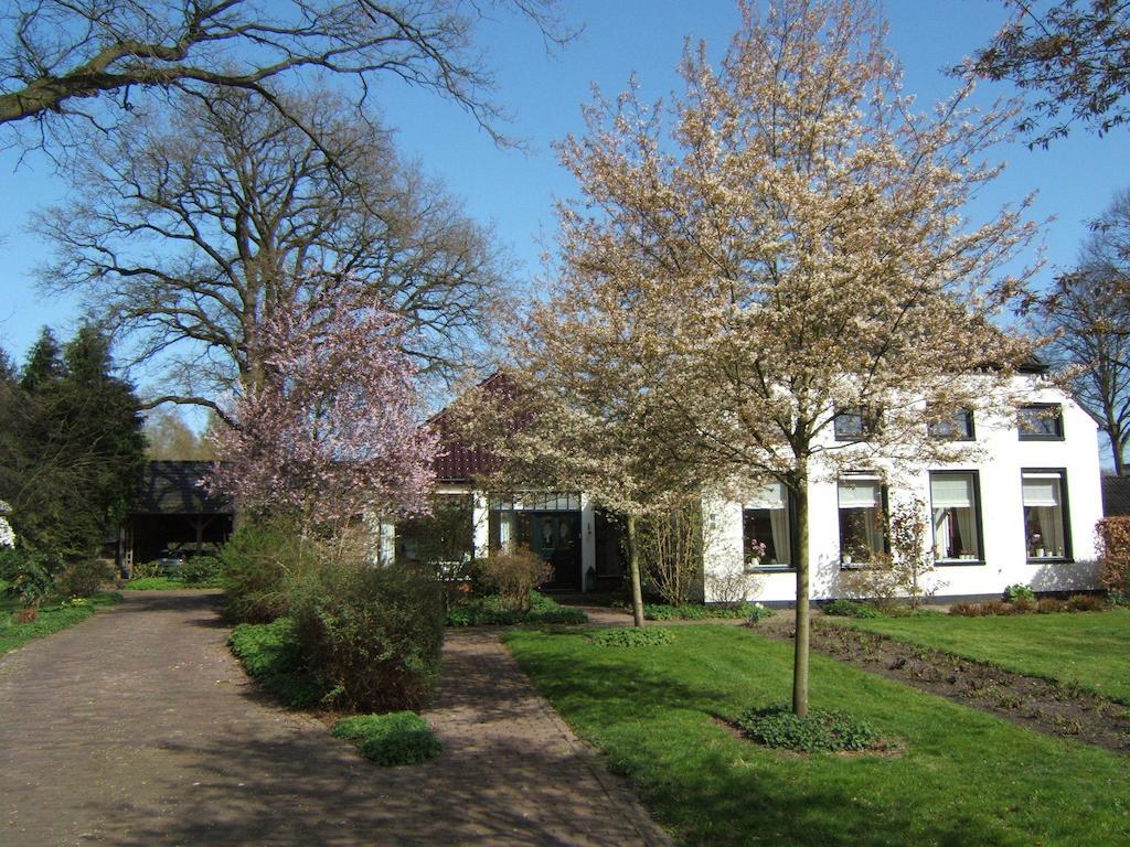 B&B"De Hassehof" Sellingen ภายนอก รูปภาพ