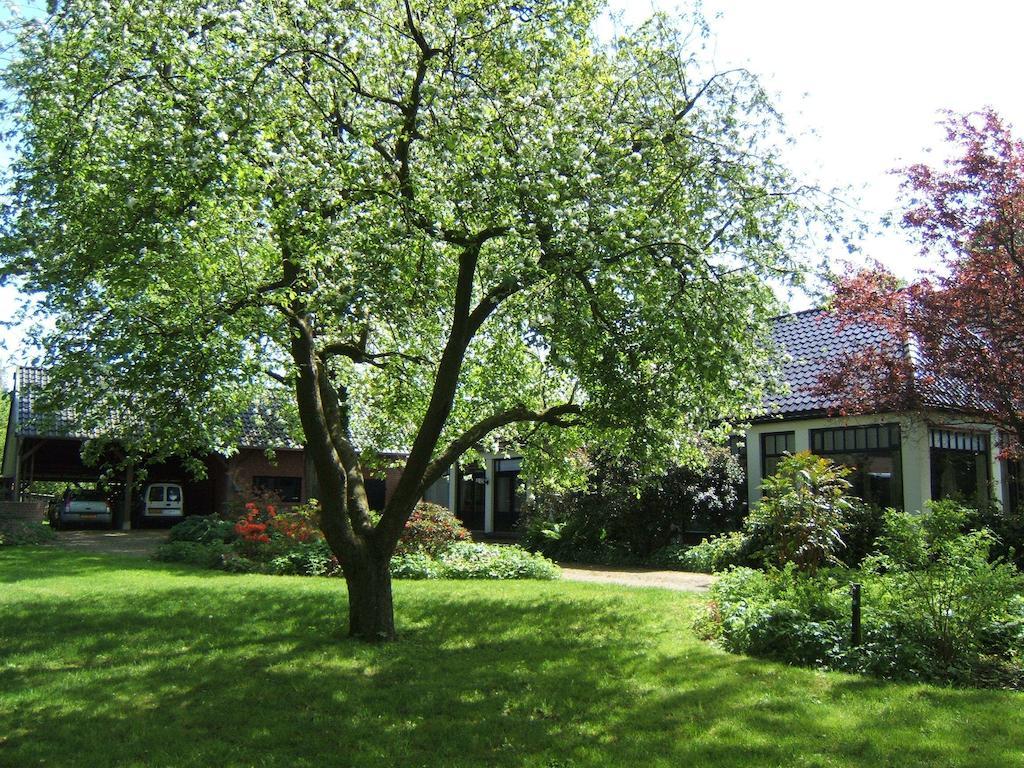 B&B"De Hassehof" Sellingen ภายนอก รูปภาพ