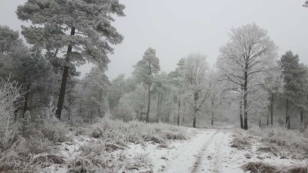 B&B"De Hassehof" Sellingen ภายนอก รูปภาพ